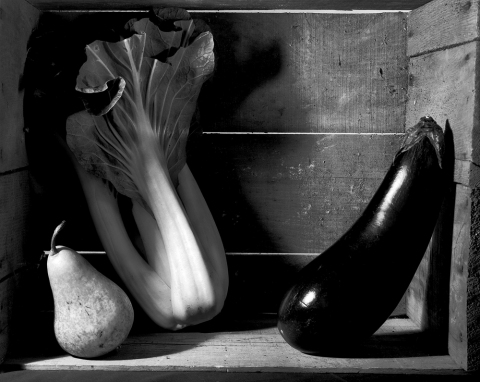 Howard Nathenson Fine Art  Black and White Still Life Photographs B@W photograph