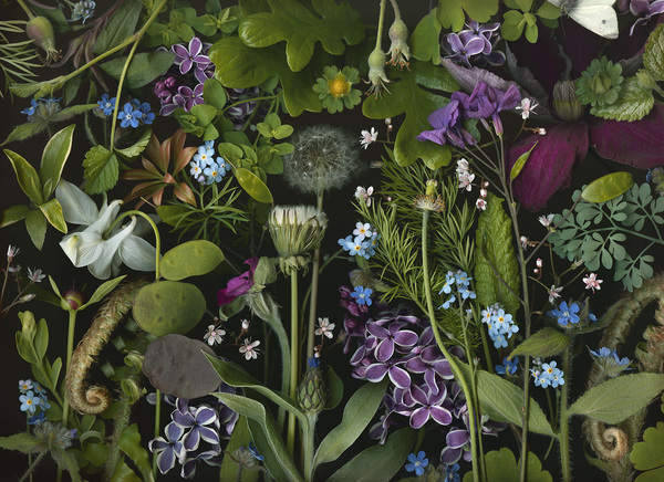 Imogen Gallery  Archival pigment print