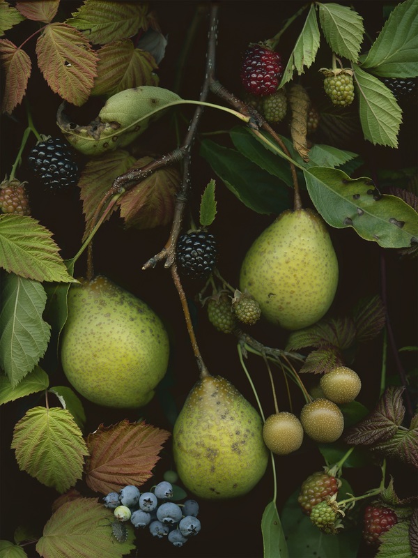 Imogen Gallery  Archival pigment print