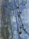 Carousel artwork image 2446