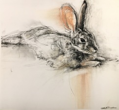 Wild Rabbit, Lounging