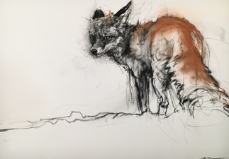 Red Fox, Anxious