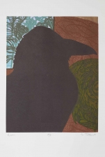 Imogen Gallery Sara Tabbert Wood Engraving