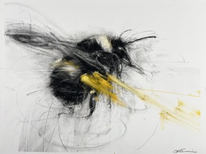 Early Bumblebee and Pollen