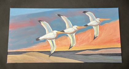 Imogen Gallery Stan Peterson 10" X 20"