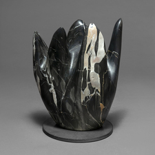 Imogen Gallery M.J. Anderson Portoro Marble