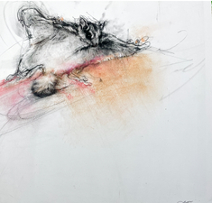 Eastern Flying Squirrel Glowing Pink