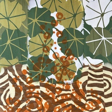 Imogen Gallery Sara Tabbert Yellow Cedar