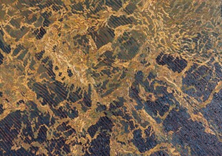 Imogen Gallery Corey Arnold and Martin Machado 29" X 40"