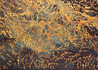 Imogen Gallery Corey Arnold and Martin Machado 29" X 40"