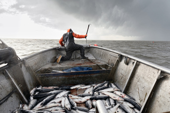 Imogen Gallery Corey Arnold and Martin Machado 30" X 44"