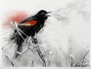 Imogen Gallery April Coppini 11" X 14.25"