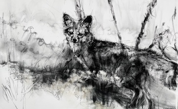 Imogen Gallery April Coppini 25" X 38"