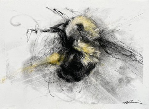 Imogen Gallery April Coppini 7" X 9"