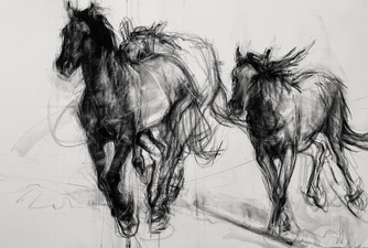 Imogen Gallery April Coppini 42" X 63"