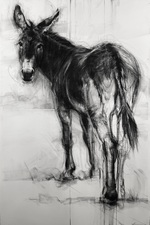 Imogen Gallery April Coppini 65" X 42"