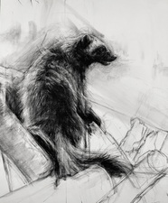 Imogen Gallery April Coppini 42" X 35"