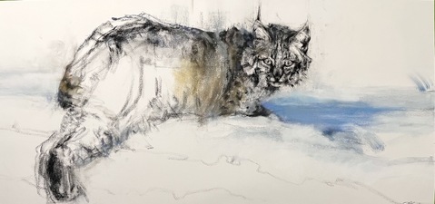 Imogen Gallery April Coppini 23.5" X 48"