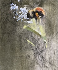 Imogen Gallery April Coppini 11" X 9"