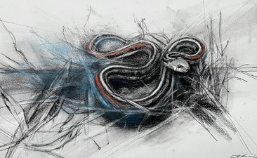 Imogen Gallery April Coppini 9" X 12"