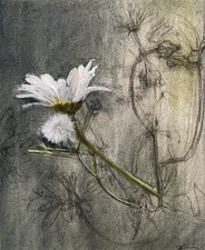 Imogen Gallery April Coppini 15" X 13"