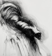 Imogen Gallery April Coppini 29" X 27"