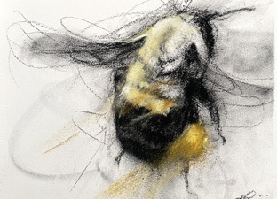 Imogen Gallery April Coppini 7" X 9"
