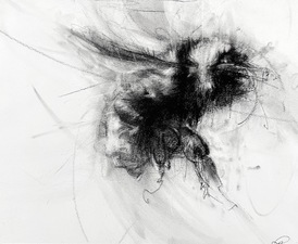 Imogen Gallery April Coppini 14" X 18"