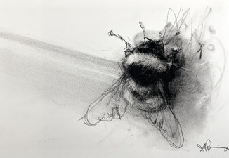 Imogen Gallery April Coppini 9" X 13"