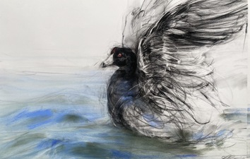 Imogen Gallery April Coppini 27" X 41"