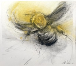 Imogen Gallery April Coppini 13.5" X 15"