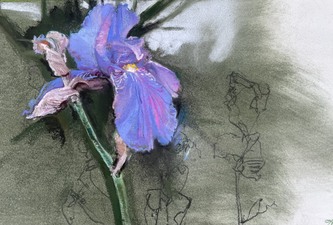 Imogen Gallery April Coppini 11.5" X 17"