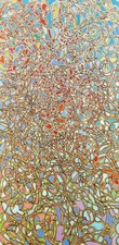 Imogen Gallery Tom Cramer 48" X 24"