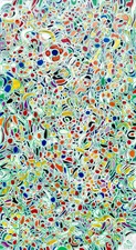 Imogen Gallery Tom Cramer 49" X 27"