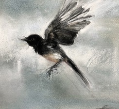Imogen Gallery April Coppini 9" X 10"
