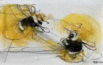 Imogen Gallery April Coppini 4.5" X 8.25"