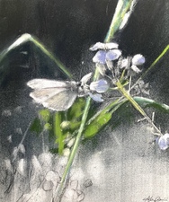 Imogen Gallery April Coppini 10.5" X 9"
