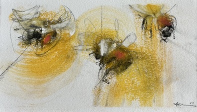 Imogen Gallery April Coppini 5.75" X 9.5"