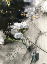 Imogen Gallery April Coppini 18" X 14"