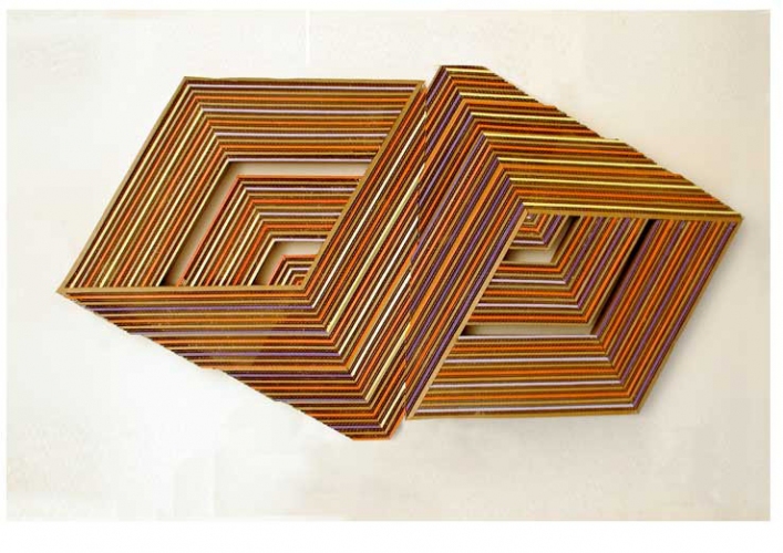 Ivan Sherman Out of the Box:Art created from Recycled Corrugated Boxes Acrylics, hand-cut corrugated 
