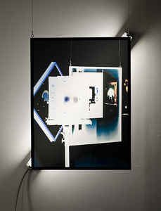 Jacob Lawrence Mandel Contradiction, Evolution, Placebo digital photograph printed on matte film installation, 12/2 mc wire, 2ft fluorescent light