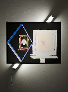 Jacob Lawrence Mandel Contradiction, Evolution, Placebo digital photograph printed on matte film installation, 12/2 mc wire, 2ft fluorescent light