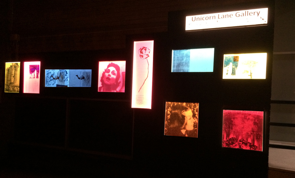 JADE WALSH Public Art Lightbox Installation of individual prints on perspex