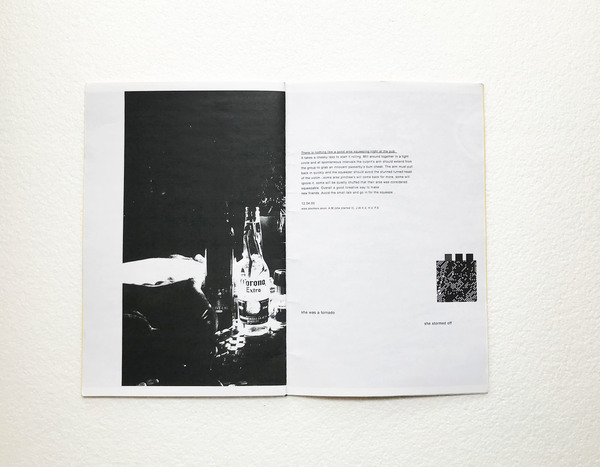Flash Fiction For Nudists Zines