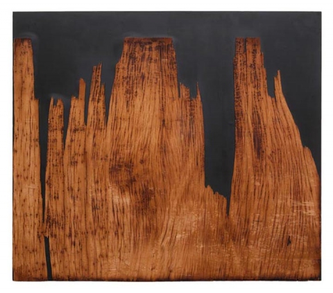Lost Canyon assemblages & sculptures Wood and neoprene on wood
