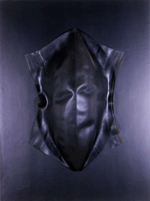 Mound of Venus Before God Gave it a Slit assemblages & sculptures Inner tube & neoprene on wood panel