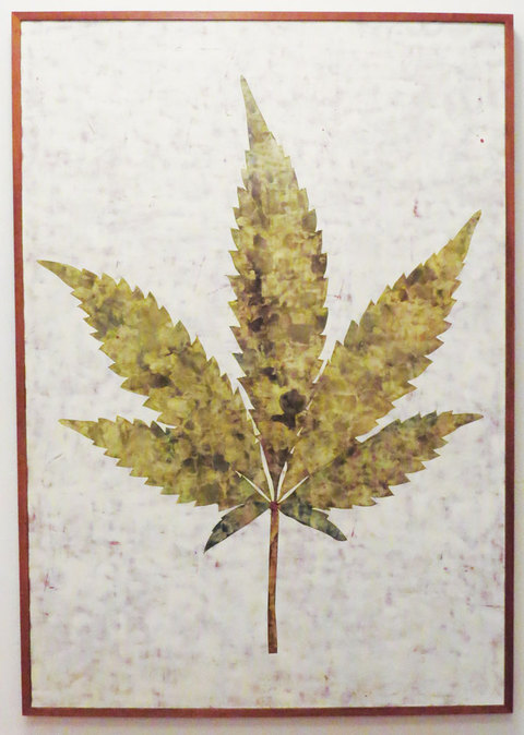 Medicine Plant paintings Pigment into Plaster and Wood