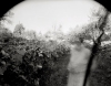  Long Looking of Slow Days Silver Print