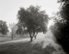  Wackers Gelatin Silver Print