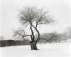  Wackers Gelatin Silver Print